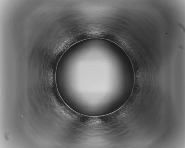 X0000102270642200808011428