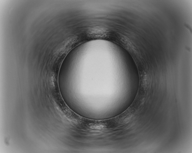 X0000102270643200808011428