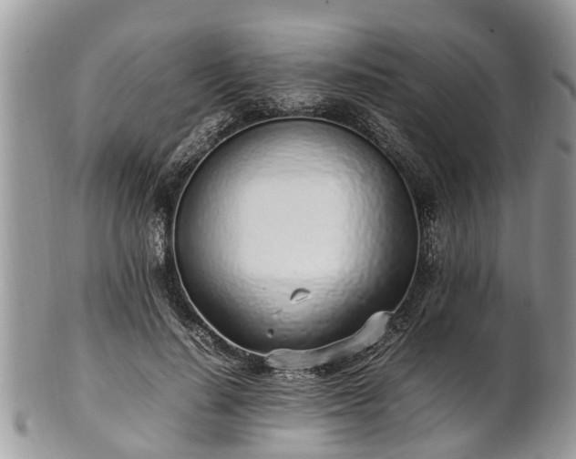 X0000102270644200808011428
