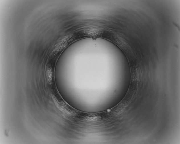 X0000102270646200808011428