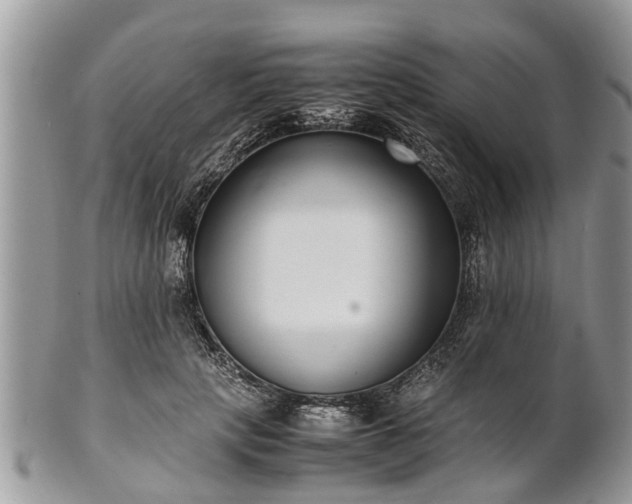X0000102270649200808011428