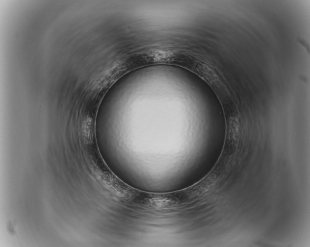 X0000102270650200808011428