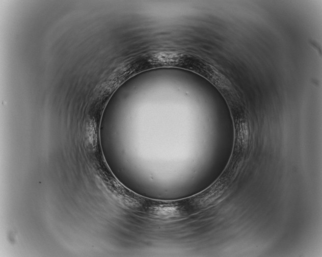 X0000102270651200808011428