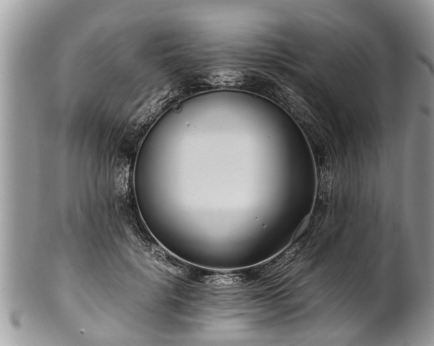 X0000102270652200808011428