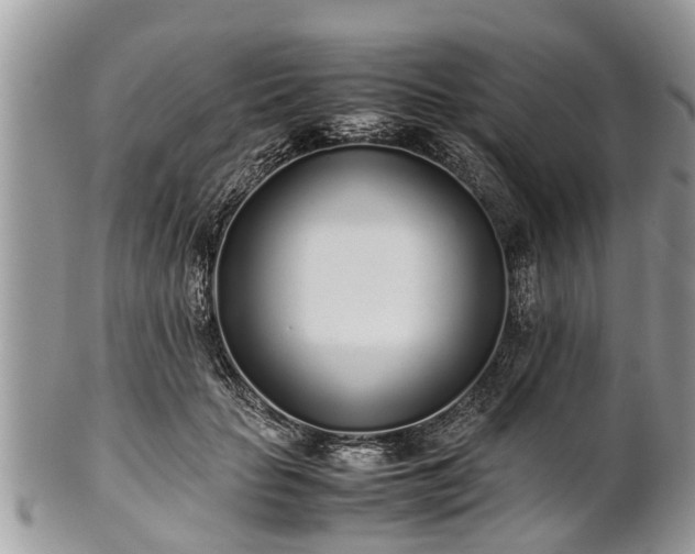 X0000102270653200808011428