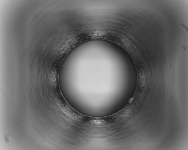 X0000102270654200808011428