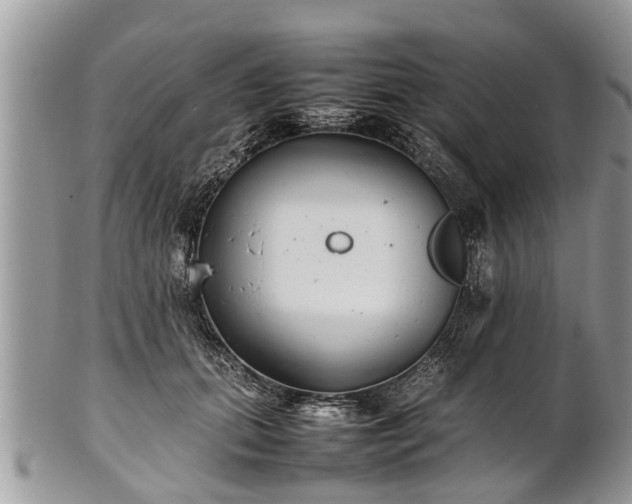 X0000102270655200808011428