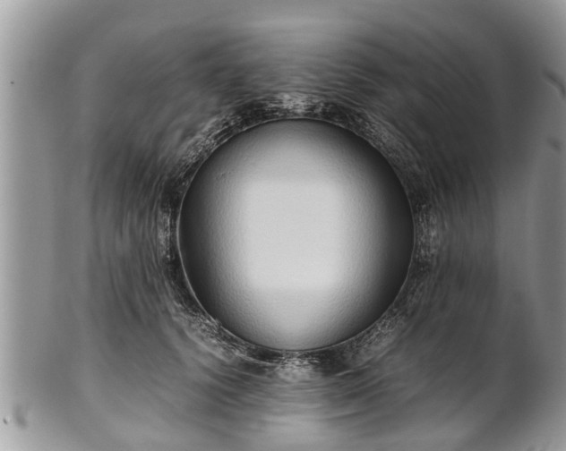 X0000102270656200808011428