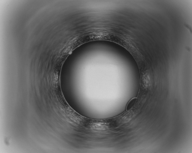 X0000102270657200808011428