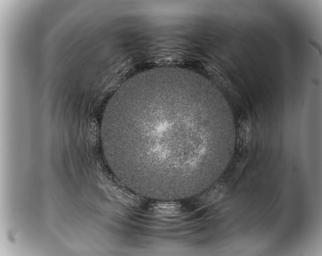 X0000102270659200808011428