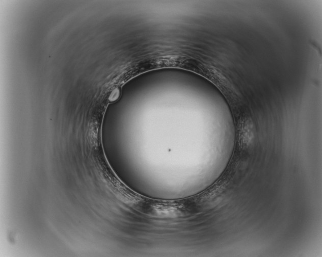 X0000102270661200808011428