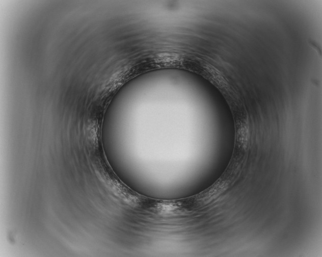 X0000102270662200808011428