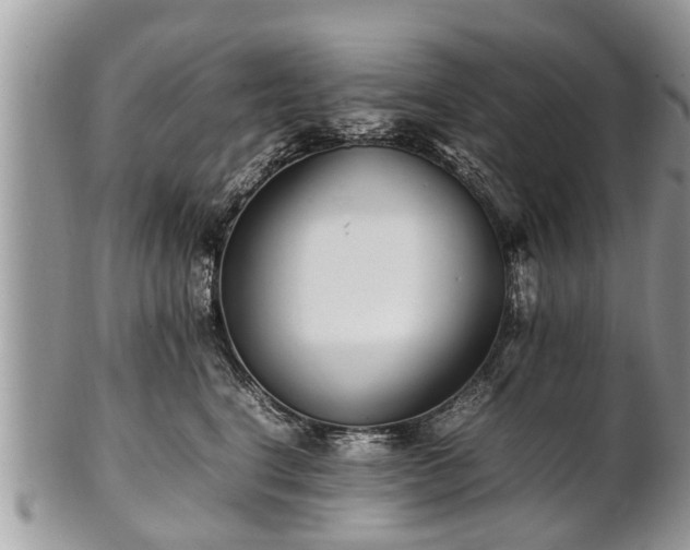 X0000102270664200808011428