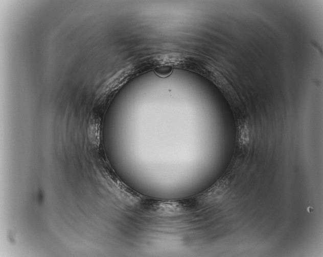 X0000102270666200808011428