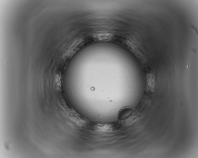X0000102270667200808011428