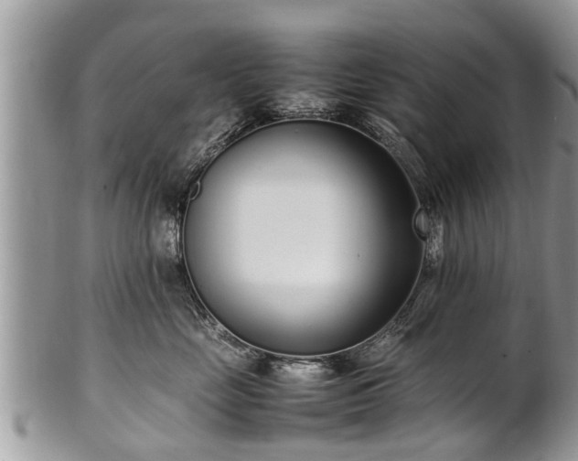 X0000102270669200808011428