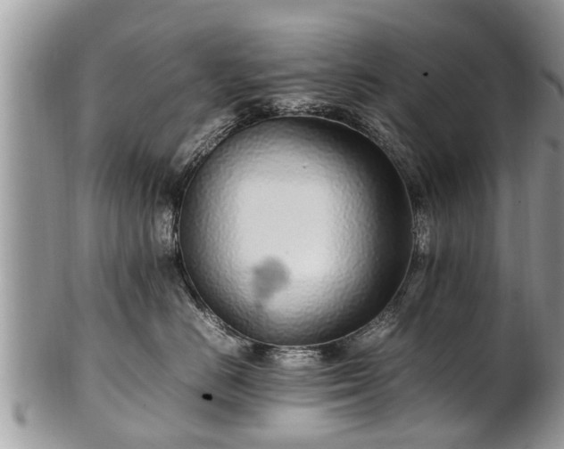 X0000102270670200808011428