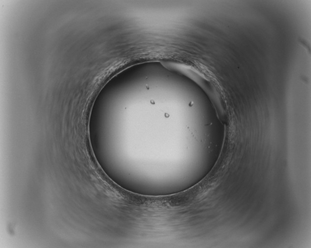 X0000102270673200808011428