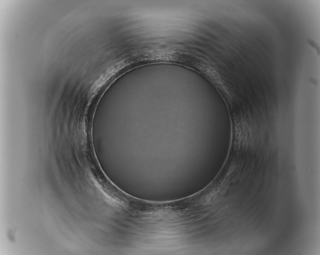 X0000102270674200808011428