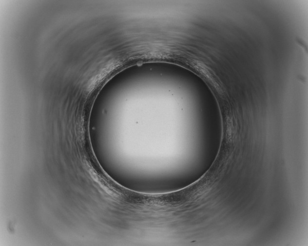 X0000102270677200808011428