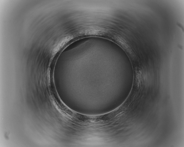 X0000102270678200808011428