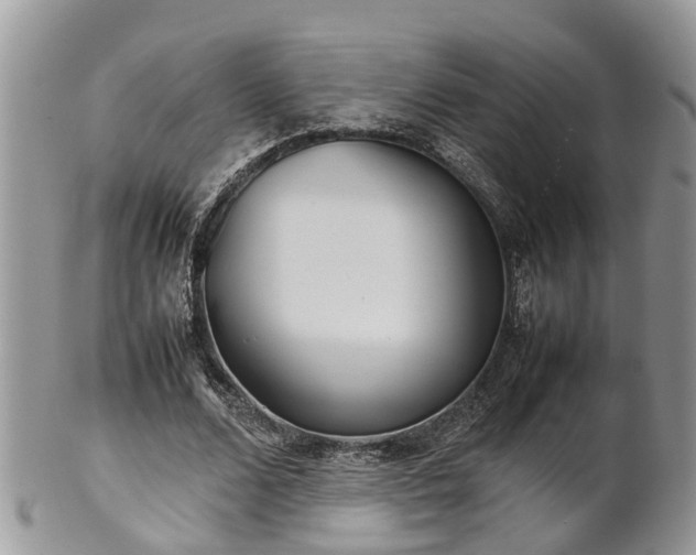 X0000102270680200808011428