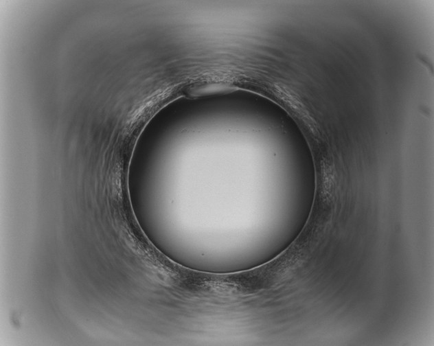 X0000102270681200808011428
