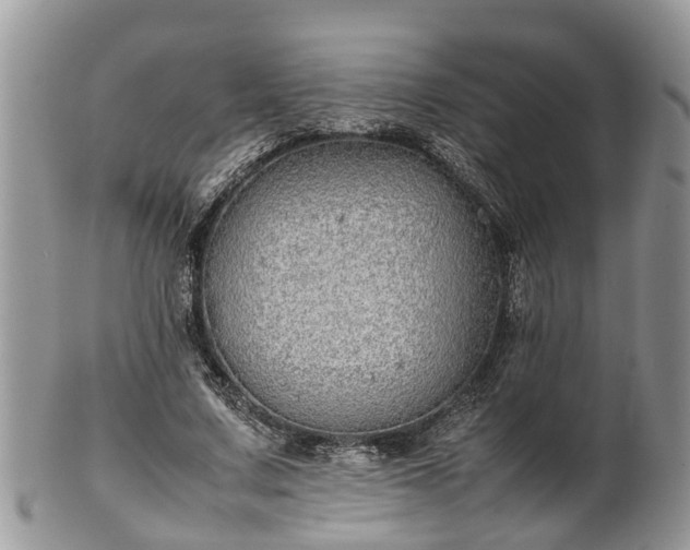 X0000102270683200808011428
