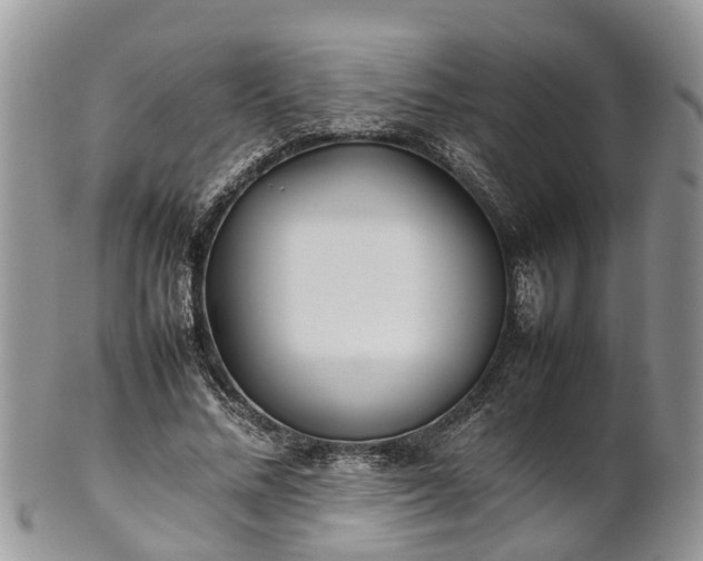 X0000102270684200808011428