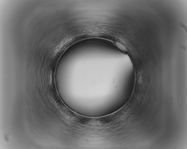 X0000102270685200808011428