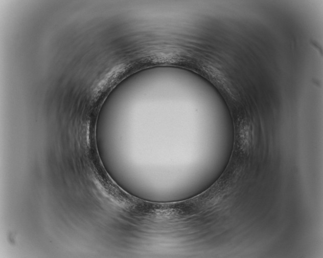 X0000102270686200808011428