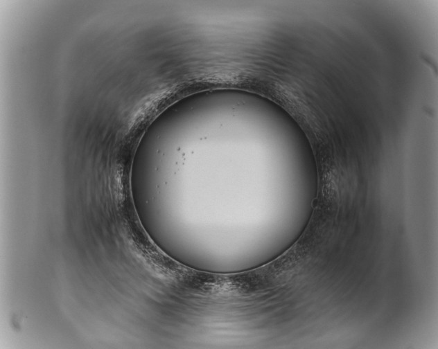 X0000102270688200808011428