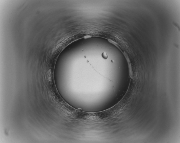 X0000102270689200808011428