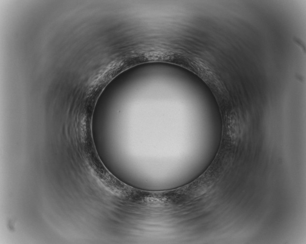 X0000102270690200808011428