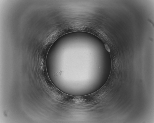 X0000102270693200808011428