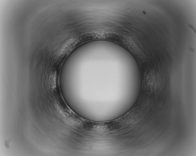 X0000102270694200808011428