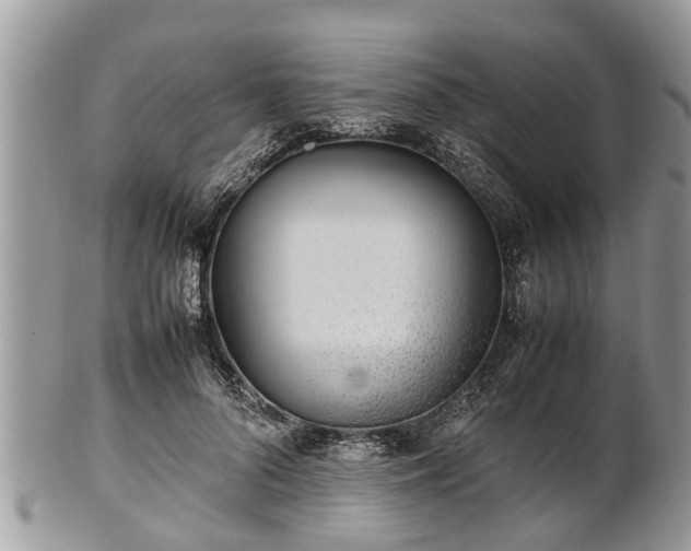 X0000102270696200808011427