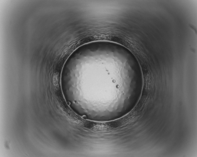 X0000102270699200808011427