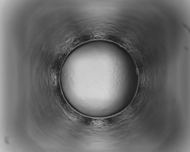 X0000102270703200808011427