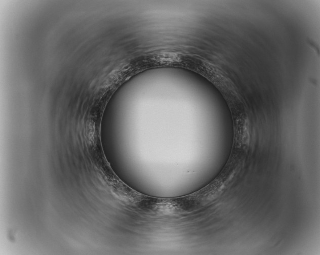 X0000102270704200808011427