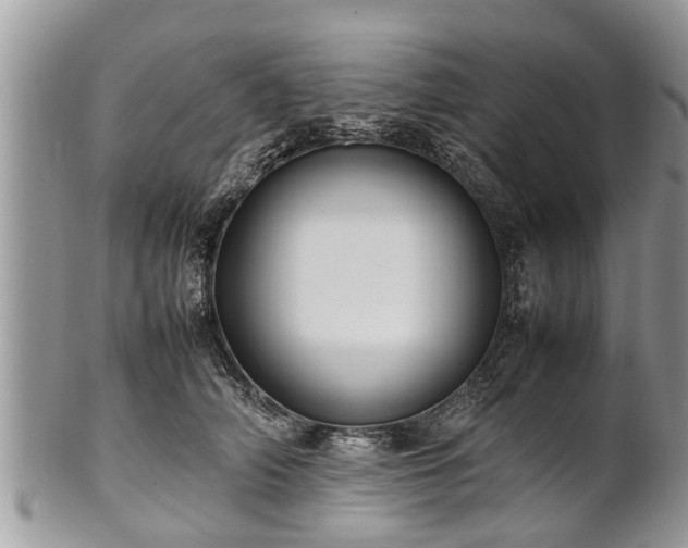 X0000102270706200808011427