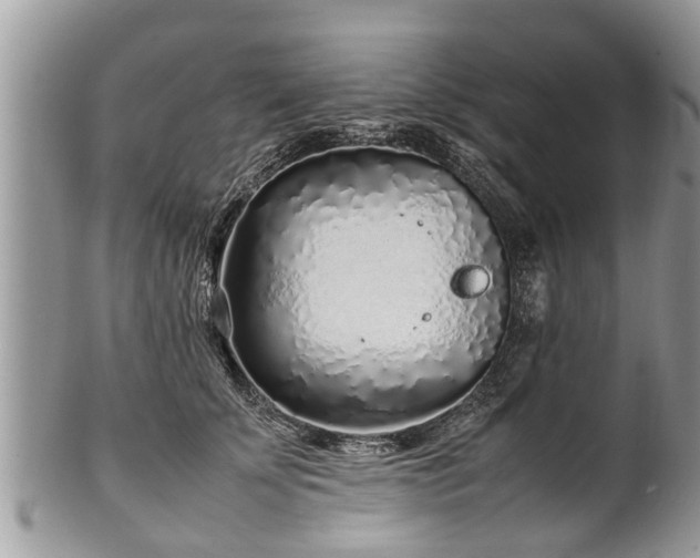 X0000102270707200808011427