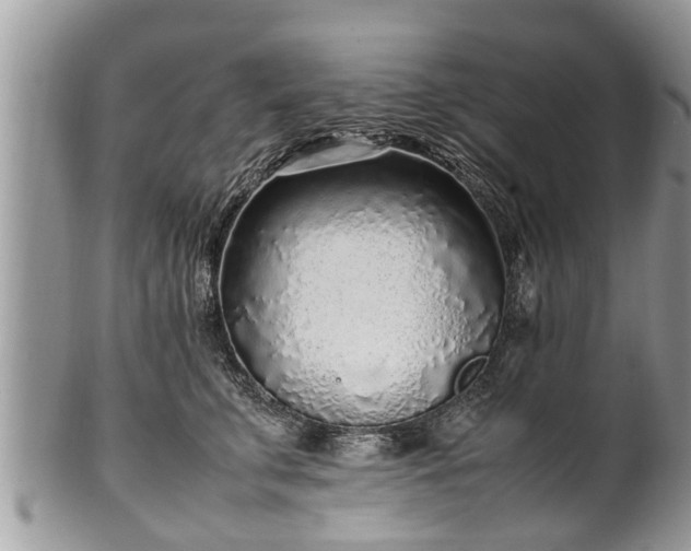 X0000102270711200808011427