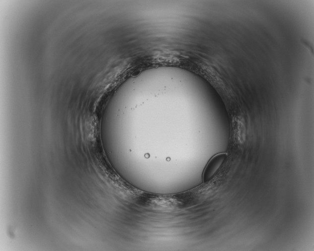 X0000102270712200808011427