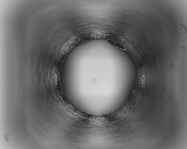 X0000102270716200808011427