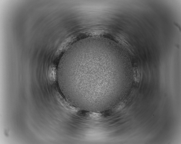 X0000102270718200808011427