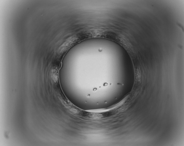X0000102270719200808011427