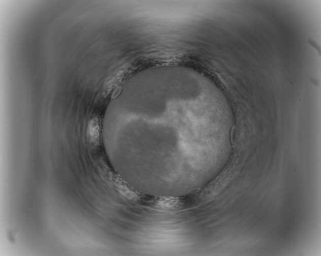 X0000102270720200808011427
