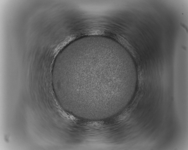 X0000102270721200808011427