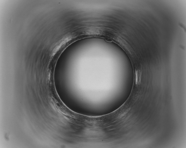 X0000102270723200808011427